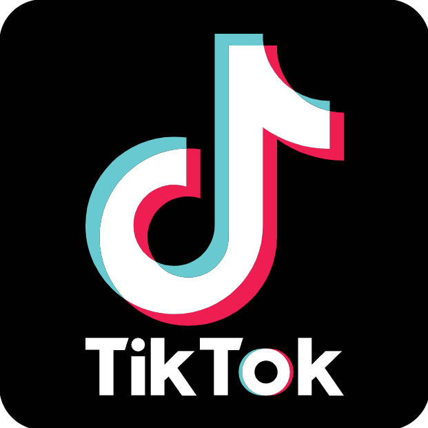 TikTok 图标